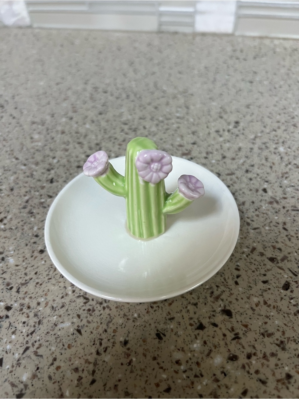 Ceramic Cactus Ring Dish in Green and Pink